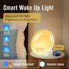 Home Desk Lamp Touch Alarm Clock To Wake Up Naturally Led Night Light To Simulate Sunrise and Sunset Bedside Colorful