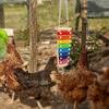 Bird Chicken Xylophone Toy Wooden Suspensible Bird Cage Accessories Musical Toy with 8 Keys for Chicken Bird Parrot Macaw Hens