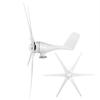 Professional Wind Turbines Small Windmill Generator 6 Blade Industrial Machinery Machine 800W