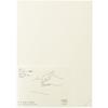 DESIGNPHIL (МИДОРИ) MD Notebook 1 день 1 страница Без линий B 15389006