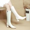 High Heels But Knee Boots Women's New Autumn and Winter Pointed High Boots Large Size Thick Heel Thin Boots