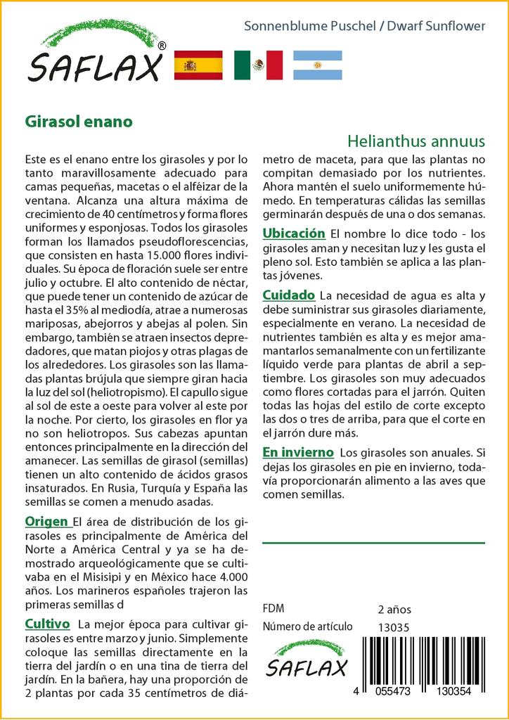 SAFLAX Подсолнечник карликовый - 40 семян - Helianthus annuus