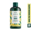 The Body Shop Шампунь Banana Truly Nourishing 250 мл 1 шт. Для мягких волос без пушистости