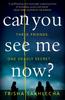Книга Can You See Me Now?