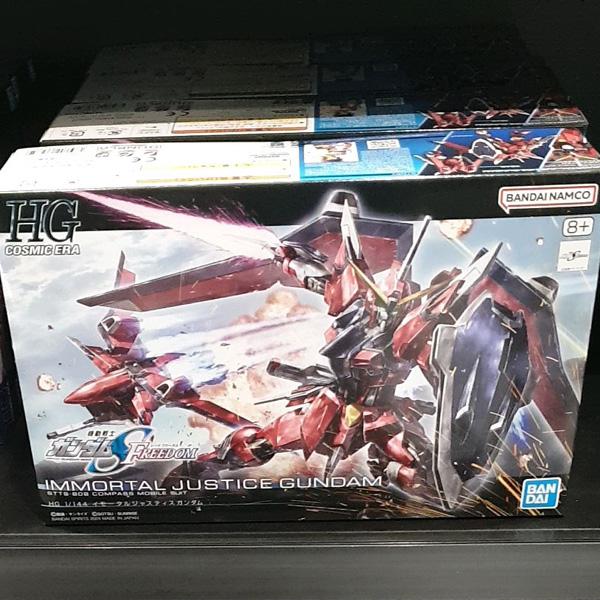 HG Immortal Justice Gundam