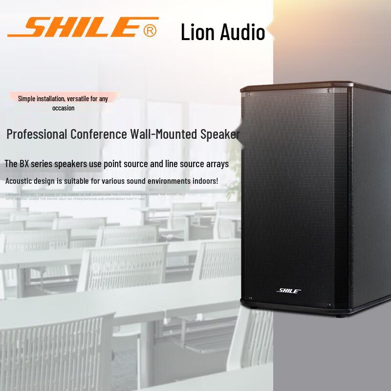 SHILE Conference & Training Audio System Set