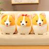 Cute Welsh Corgi Dog Plush Doll Simulation Pet Dog Plush Toy Sleeping Pillow Home Decor Gifts