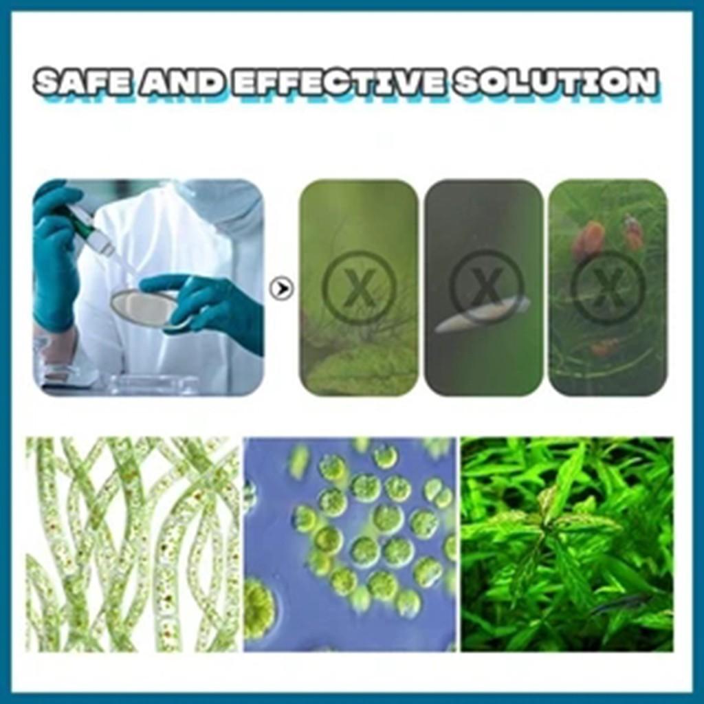 Eco-Aquarium Purifying Powder   Agent Tank moss remover Aquarium