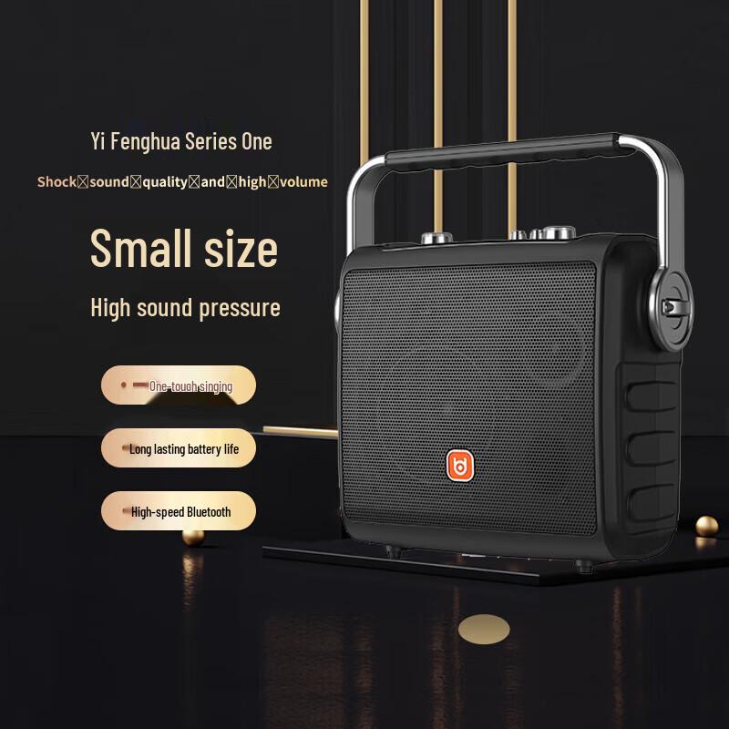 Bed Portable Bluetooth Karaoke Speaker with Wireless Microphone