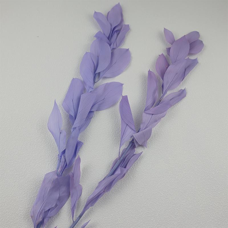 DIY Floral Art Ornament: Preserved Tangerine & Fishtail Leaf, Lily, Bamboo Dried Flowers – Ikebana Photo Prop for Home Décor.