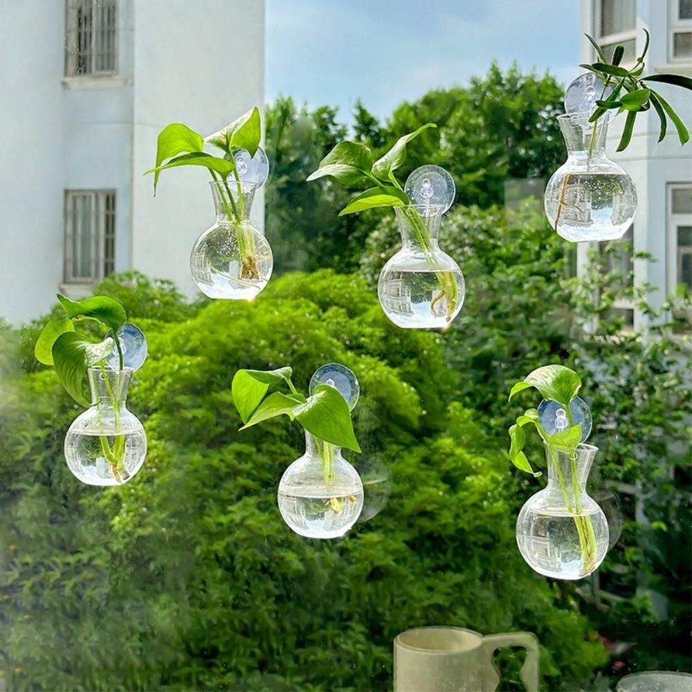 4pcs/set Self-Watering Plant Hydroponic Vase with Suction Cups Mini Flower Pot  Window
