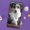 Чехол для телефона Samsung Galaxy M32 M52 M12 M13 M33 M23 M53 M15 M55 M31 M51 M14 M34 M54 M20 с изображением собаки Джек-рассел-терьер