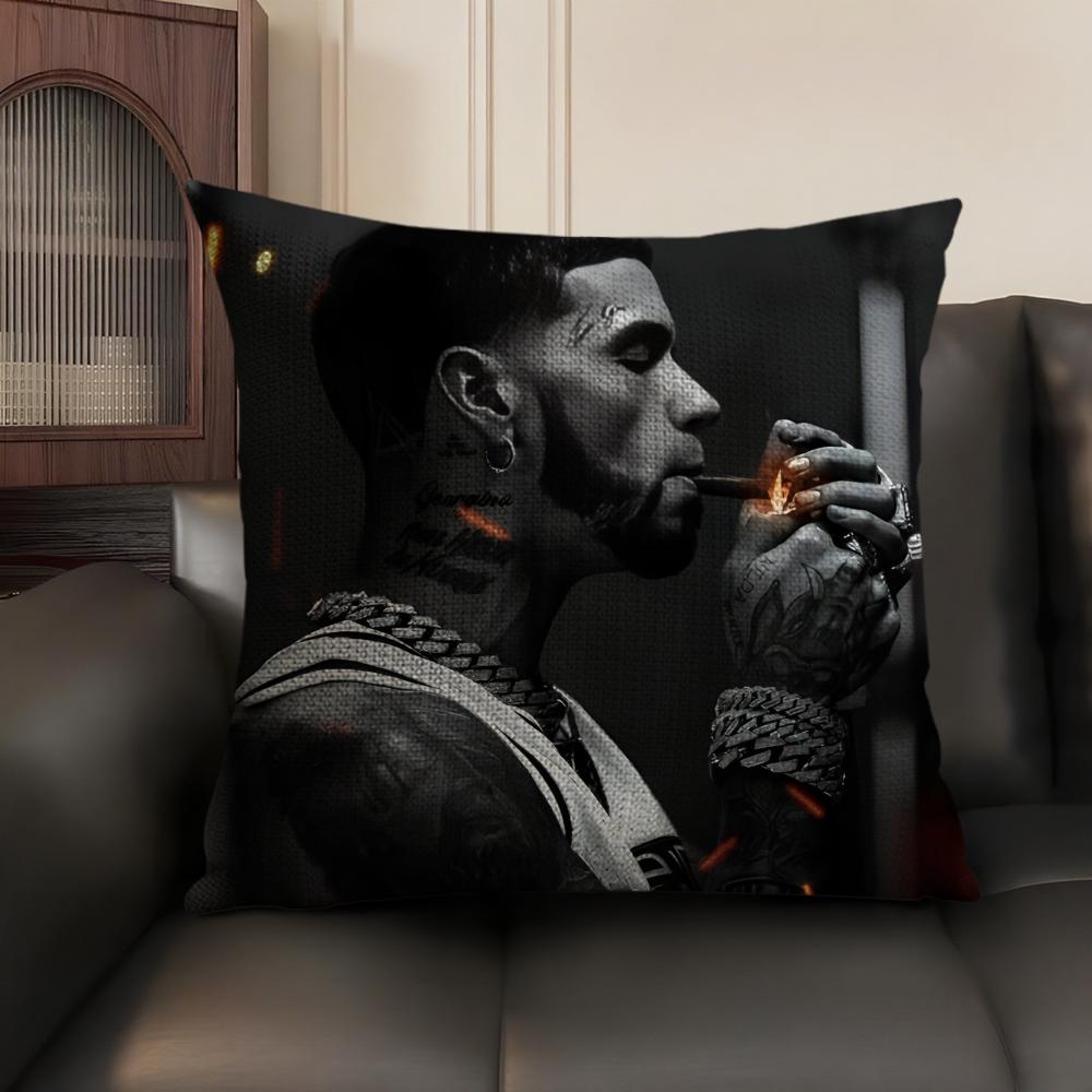 Singer AAnuel AA Cushion Cover Natural Linen Organic Fabric DoubleSided Printing Sofa Home Decor Gift Pillow Case