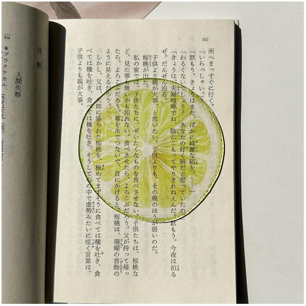 Durable Acrylic Bookmark Simulation Fruit Transparent Book Reading Marker Clear Book Pages Mark Tool Reading Gift