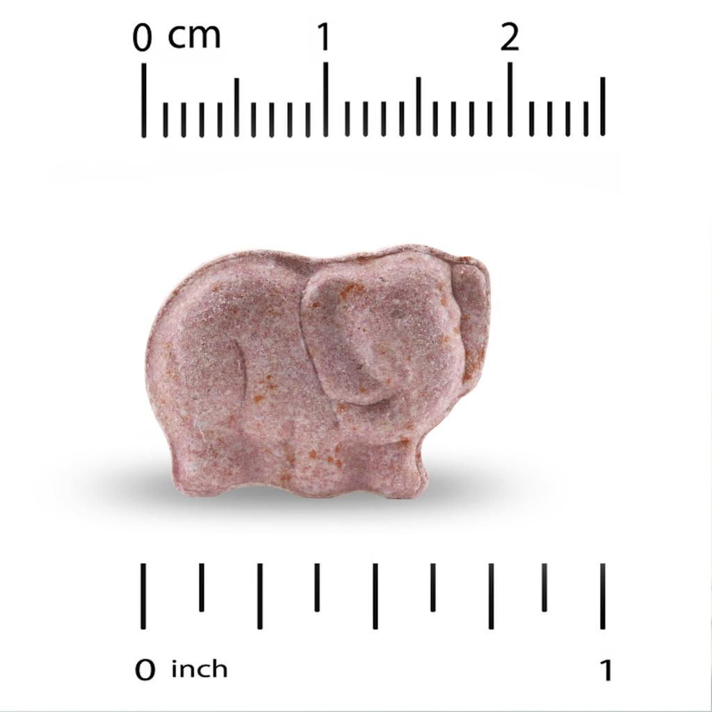 California Gold Nutrition Детские жевательные мультивитамины с пробиотиками и ферментами, ассорти из фруктовых вкусов, 60 веганских таблеток