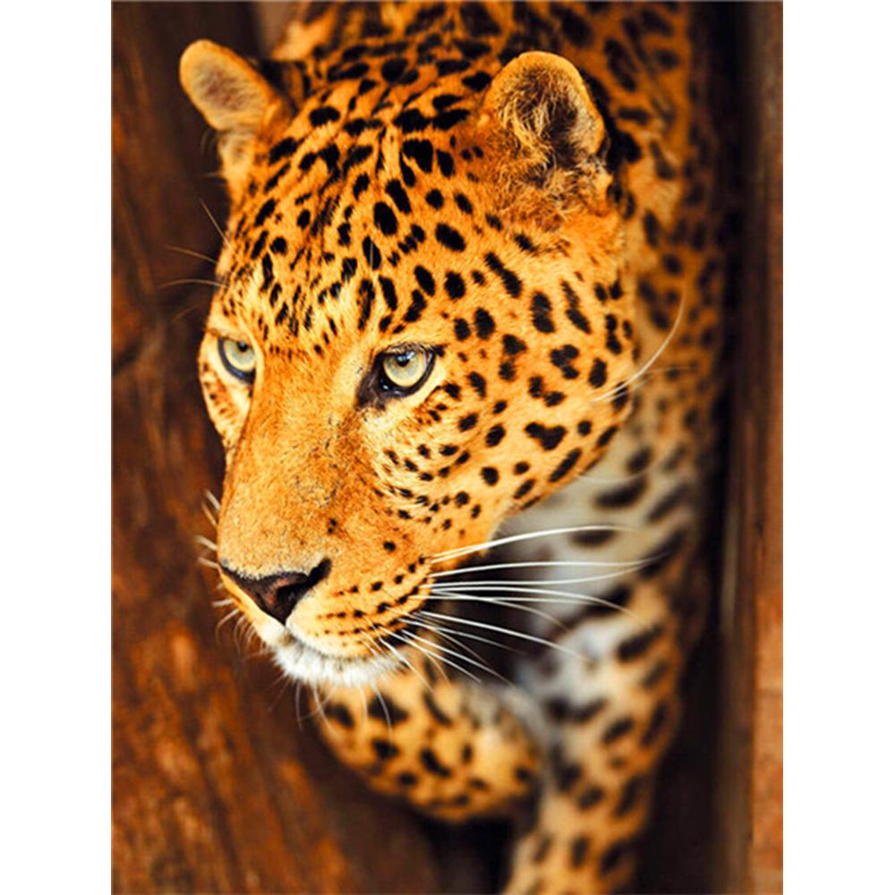 DIY Diamond Painting Kit Animal Diamond Embroidery Cross Stitch Peacock Pictures Of Rhinestones Mosaic Decortion