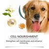 Жевательные таблетки для питомцев с лютеином Pet Protect Eye Добавка для глаз питомца для здоровья и роста Жевательные таблетки Лютеин