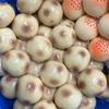 Неотскакивающая форма для картофеля фри, пластичный сжимаемый антистресс-мяч для сенсорной игры, снятия стресса