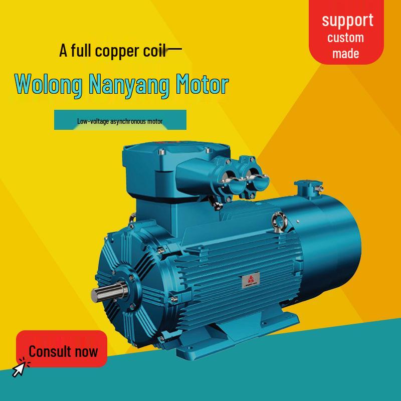 Wolong Nanyang Low-Voltage Variable Frequency Three-Phase Asynchronous Motor with Full Copper Coil.