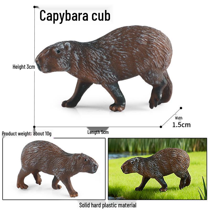 Children's Cognitive Rodent Simulation Toy: Chipmunk, Marmot, Squirrel, Guinea Pig Models
