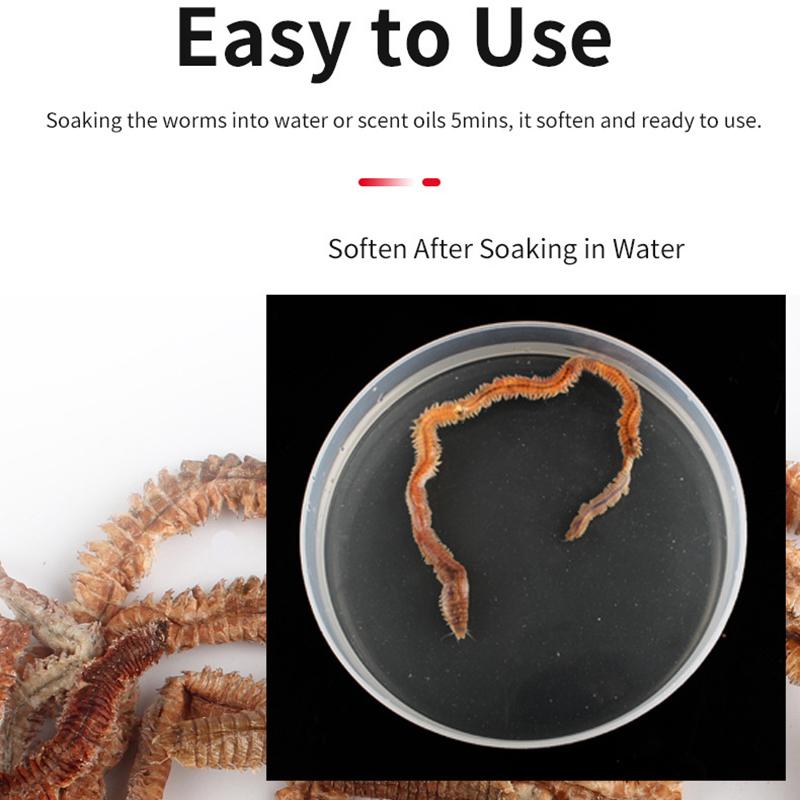 100% Натуральный Сушеный Морской Червь 10Г Рыболовные Приманки Для Уличной Рыбалки Турнир Соблазнительная Пища Для Ловли Карпа Для Зимней Подледной Морской Рыбалки