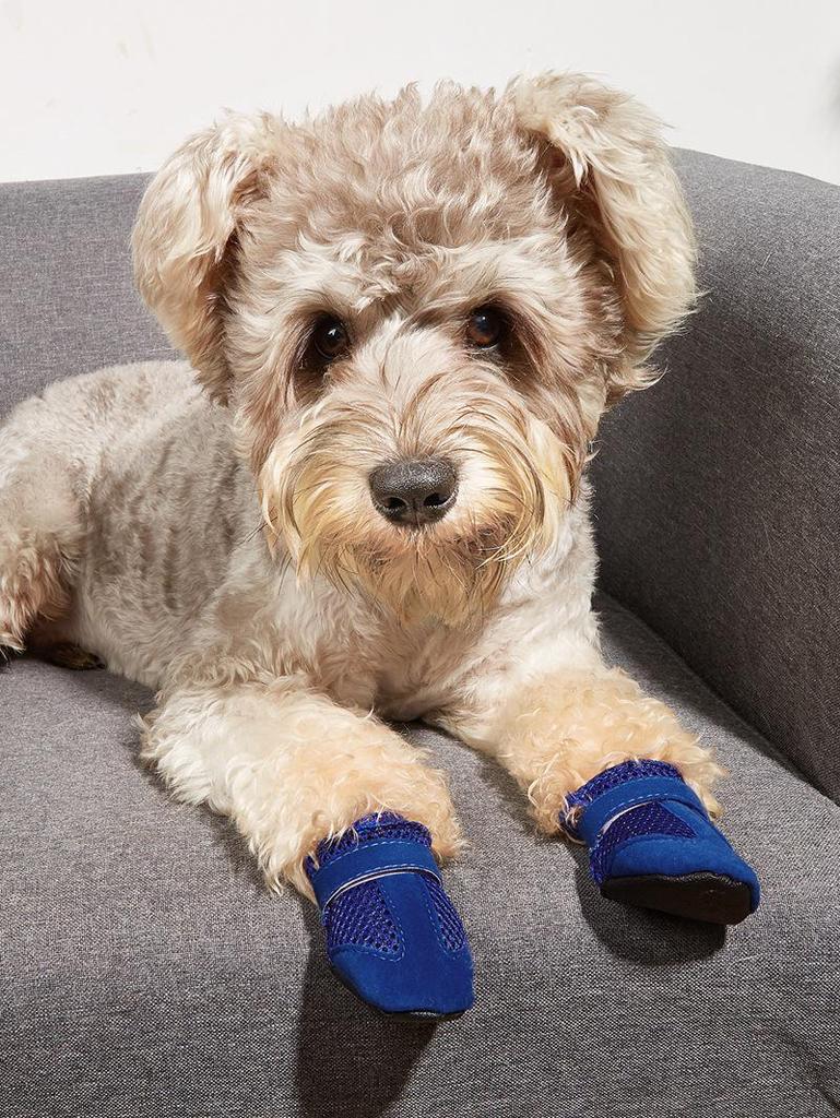 Summer Mesh Breathable Dog Shoes - Casual and Comfortable for Indoor Use