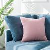 Nordic Simple Office Cushion Square Velvet Pillow Cover Without Insert Waist Pillow Living Room Cushions Pillow Sofa