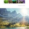 The Saem Водостойкий солнцезащитный крем Eco Earth