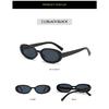 Small frame oval hip-hop sunglasses for women, trendy for street photography, sun protection, and stylish looks