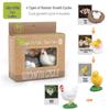 Montessori Animal & Plant Growth Cycle Teaching Toys for Kids