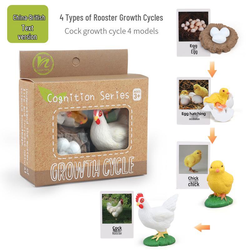 Montessori Animal & Plant Growth Cycle Teaching Toys for Kids