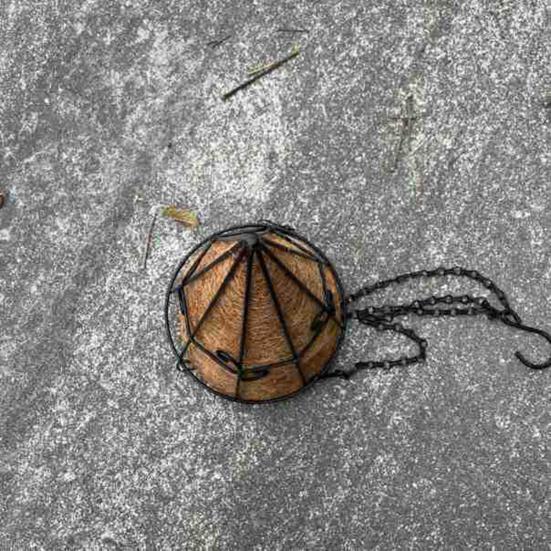 Металлическая подвесная корзина для растений с кокосовыми вкладышами Легкая посадка Подвешивание