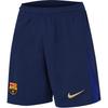 Dri-FIT Barcelona Football Club 2024/25 Home Logo Embroidered Sweat-Wicking Comfortable Solid Color Football Pants Men Bottoms FZ4691-410