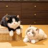 Simulation Fairy Ragdoll Cat Doll Cute Cat Plush Toy Doll Girl Companion Pillow Rag Doll Gift