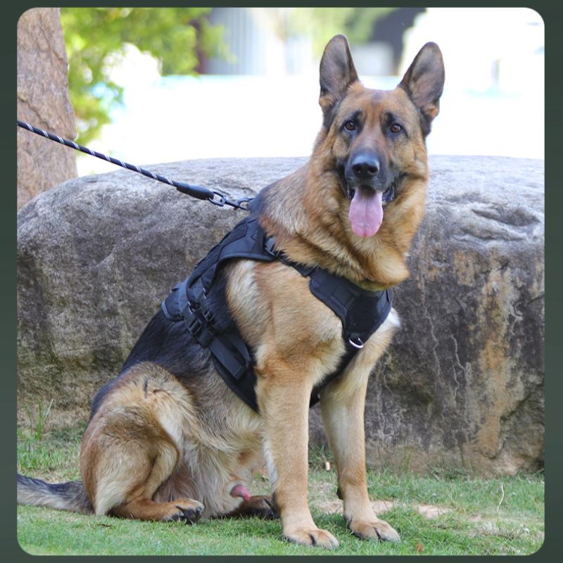 Тактический нагрудный ремень для больших собак, водонепроницаемый, взрывобезопасный, нагрудный ремень для троса, жилет для средних и больших рабочих собак