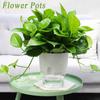 Decoration Auto Irrigate Garden Supplies Hydroponic Flower Pots Plant Pot Home Decor Planters