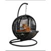 Cat Swing & Cat Bed (With Fixing Device)