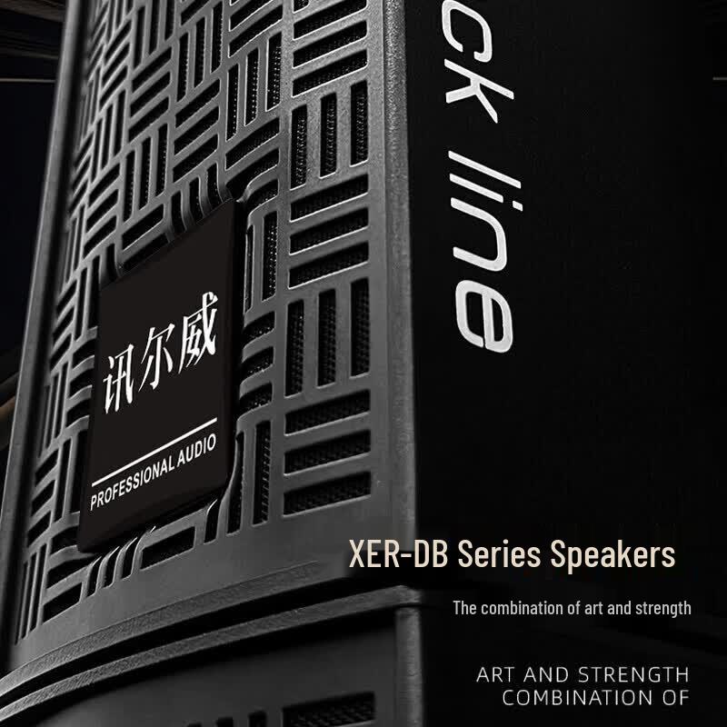 Xun Er Wei Профессиональные Аудиосистемы для Конференций и Сцены (Китайская версия)