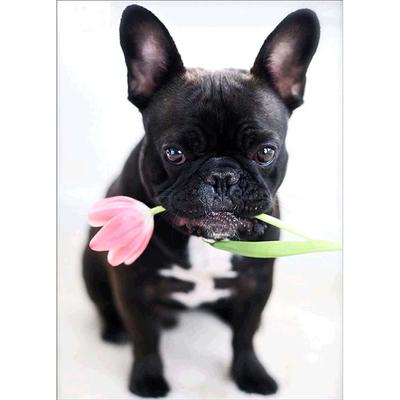 Набор алмазной мозаики "Собака с тюльпаном", 30×40 см