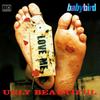 CD BABYBIRD - Ugly Beautiful ECHCD11 Echo 1996 UK Рок Б/У