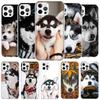 Чехол для телефона с рисунком собаки Сибирский Хаски Для iPhone 16 17 Air 15 14 Pro Max 16E Чехол для телефона 13 Mini 12 11 7 SE 8 Рисунок Печать Подходит Cas