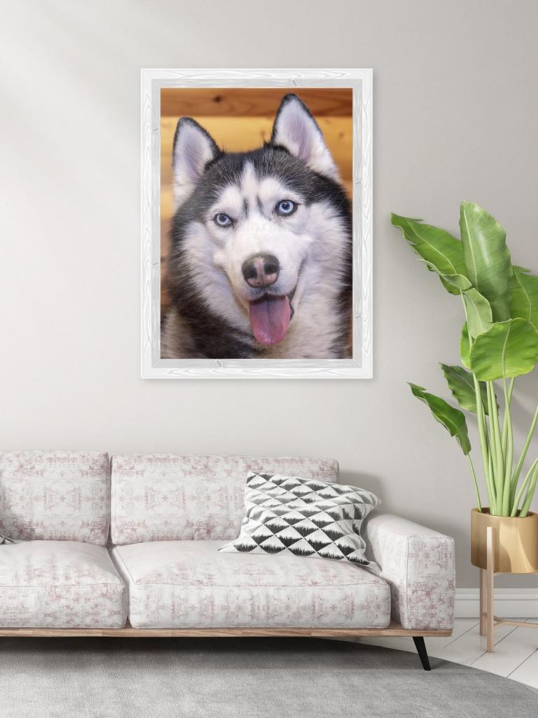 New 5D DIY Diamond Painting Husky Diamond Embroidery Animal Cross Stitch Full Square Round Drill Crafts Home Decor Manual Gift