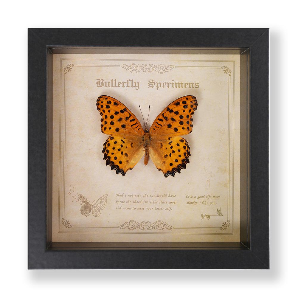 Декоративная картина с образцом бабочки Зеленый Парусник - Настоящее насекомое для демонстрации