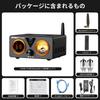 AIYIMA T9 PRO 200 Вт Bluetooth 5.2 Усилитель на вакуумных лампах, Цифровой усилитель класса D HiFi, 2.0/2.1-канальный усилитель мощности на вакуумных лампах с VU-метром и Бас/Т
