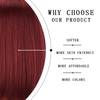 LISI HAIR Women Shoulder Length Red Wine Straight Bob Wig with Bangs Synthetic Fiber Natural Straight Bob Wig Cosplay Daily