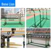 Bone Lion Outdoor Parallel Bars