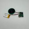 Емкость 8M 8M USB Загрузка Модуль Движения Наклейка на Холодильник Книжный