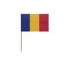 Cure-dents - Multicolore - Drapeau Roumanie - 6.5 Cm - 100 Pièces - Bâton En Bambou