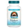 Wellness, Elderberry Extract, 500 Mg, 120 Tablets (166 Mg Per Tablet)