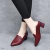 2025 Spring and Autumn Deep Mouth Pointed Middle Heel Fashion Middle Heel Work Shoes Internet Celebrity Explosion Slope Heel Spring and Autumn Embroid